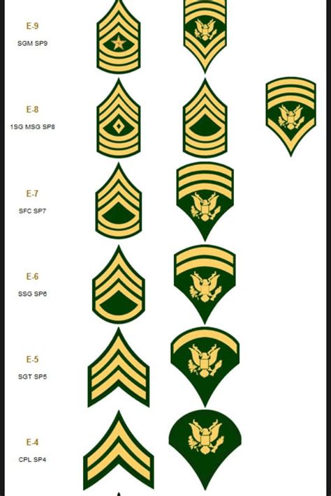 E4 army. Things To Know About E4 army. 
